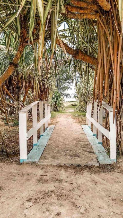 Ar Condicionado, Wi-Fi, Sem Mofo ! Villa Ilha Comprida Exterior foto